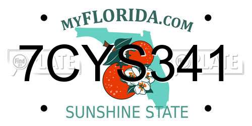 7CYS341 Florida License Plate