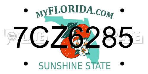 7CZ6285 Florida License Plate