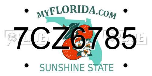 7CZ6785 Florida License Plate