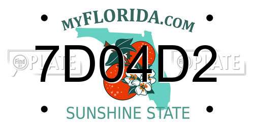 7D04D2 Florida License Plate