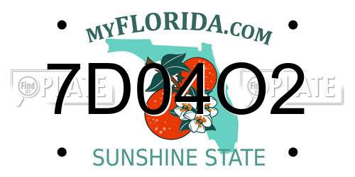 7D04O2 Florida License Plate
