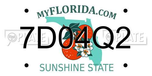 7D04Q2 Florida License Plate