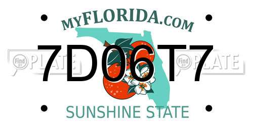 7D06T7 Florida License Plate