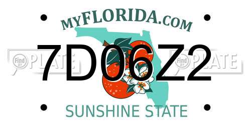 7D06Z2 Florida License Plate