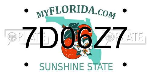 7D06Z7 Florida License Plate