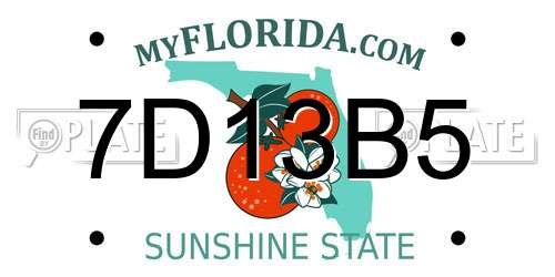 7D13B5 Florida License Plate
