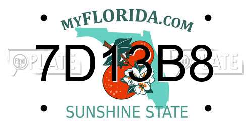 7D13B8 Florida License Plate