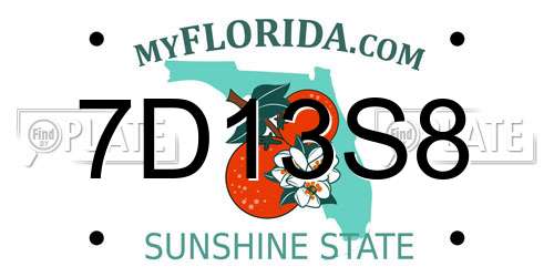 7D13S8 Florida License Plate