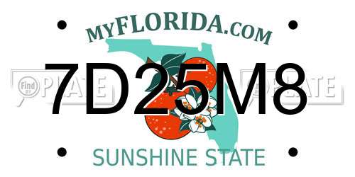 7D25M8 Florida License Plate