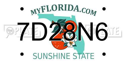 7D28N6 Florida License Plate