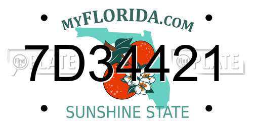 7D34421 Florida License Plate