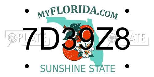 7D39Z8 Florida License Plate