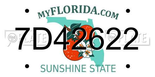 7D42622 Florida License Plate