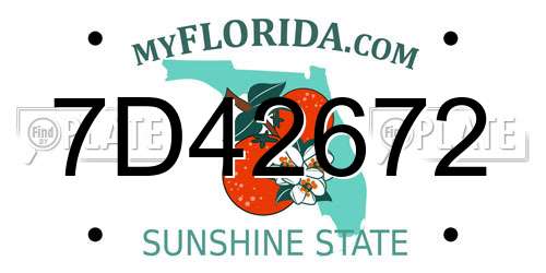 7D42672 Florida License Plate