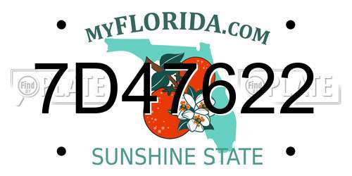 7D47622 Florida License Plate
