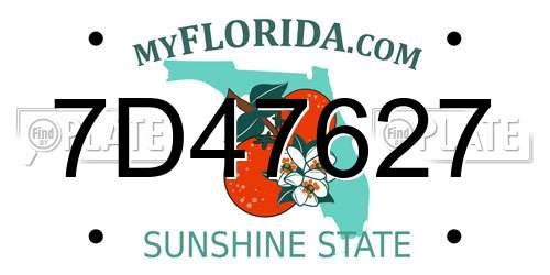 7D47627 Florida License Plate