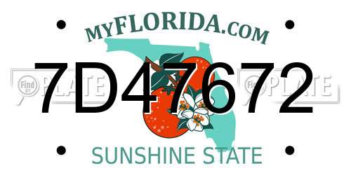 7D47672 Florida License Plate