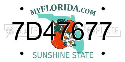 7D47677 Florida License Plate