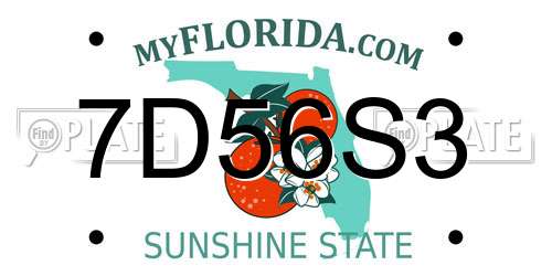 7D56S3 Florida License Plate