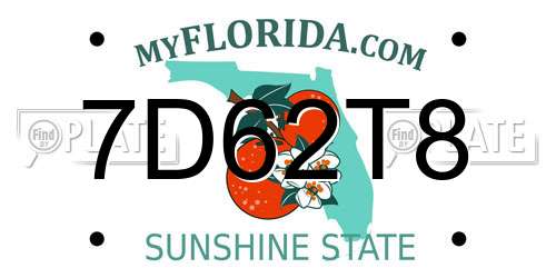7D62T8 Florida License Plate