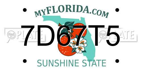 7D67T5 Florida License Plate