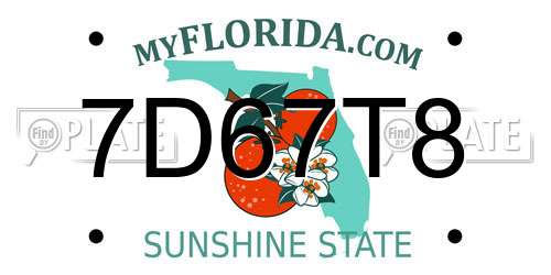 7D67T8 Florida License Plate