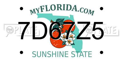 7D67Z5 Florida License Plate