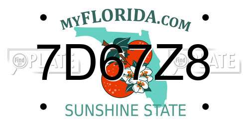 7D67Z8 Florida License Plate