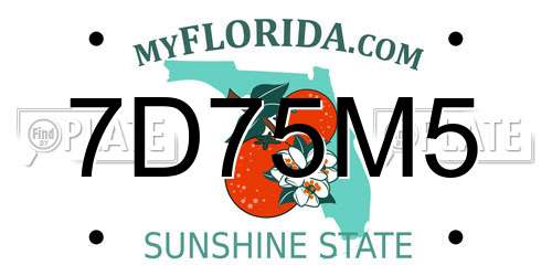 7D75M5 Florida License Plate