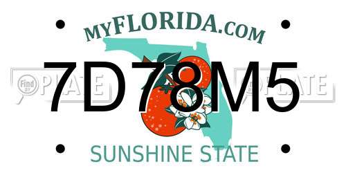 7D78M5 Florida License Plate