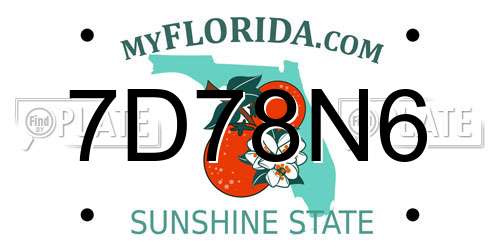 7D78N6 Florida License Plate