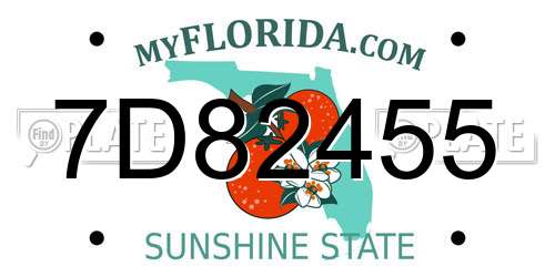 7D82455 Florida License Plate