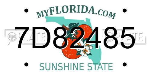 7D82485 Florida License Plate