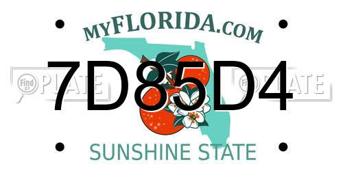 7D85D4 Florida License Plate