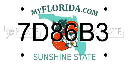 7D86B3 Florida License Plate