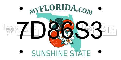 7D86S3 Florida License Plate