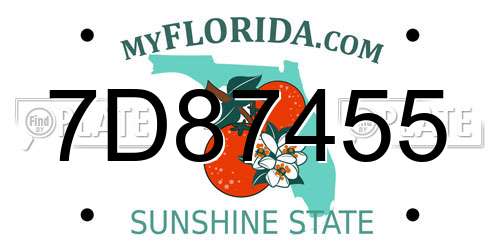 7D87455 Florida License Plate