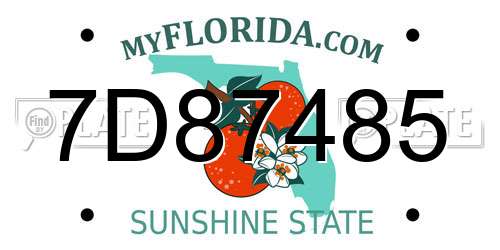7D87485 Florida License Plate