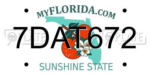 7DAT672 Florida License Plate