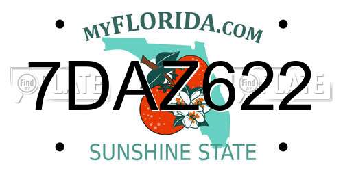 7DAZ622 Florida License Plate
