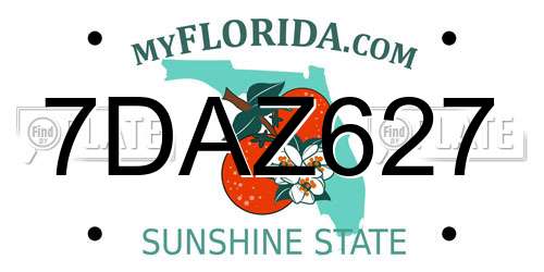 7DAZ627 Florida License Plate