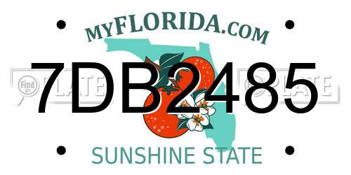 7DB2485 Florida License Plate