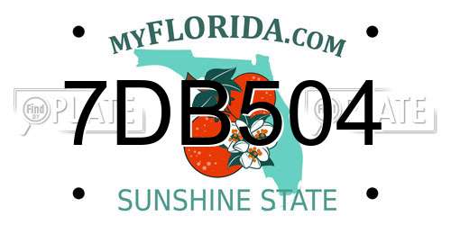 7DB504 Florida License Plate