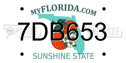 7DB653 Florida License Plate