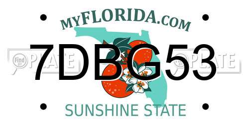7DBG53 Florida License Plate