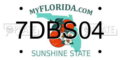 7DBS04 Florida License Plate