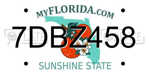 7DBZ458 Florida License Plate