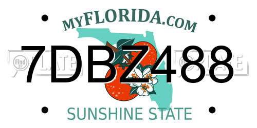 7DBZ488 Florida License Plate