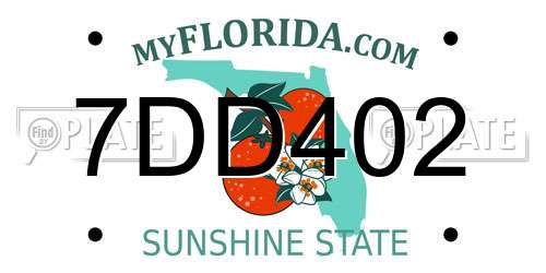 7DD402 Florida License Plate