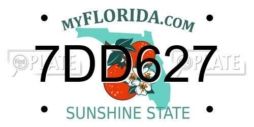 7DD627 Florida License Plate